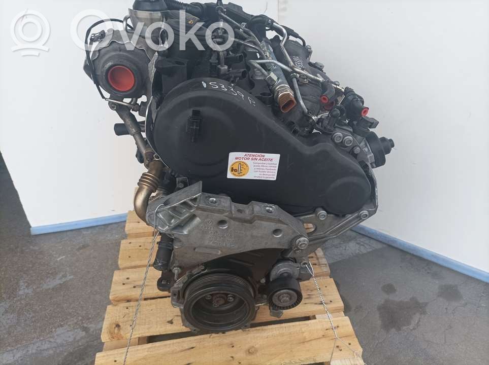 Motor   CBD