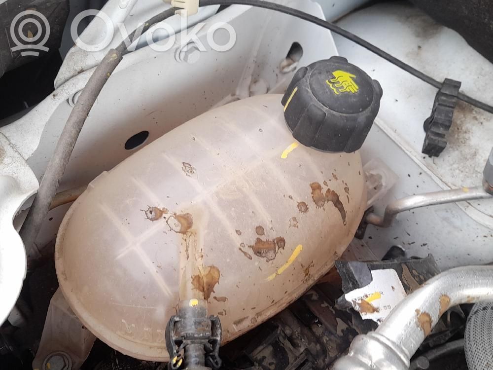 Renault Express Serbatoio di compensazione del liquido refrigerante/vaschetta