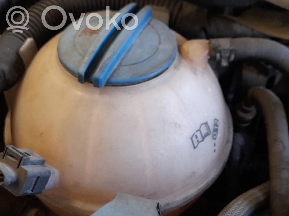 Volkswagen Golf VI Vas expansiune/rezervor lichid de răcire 