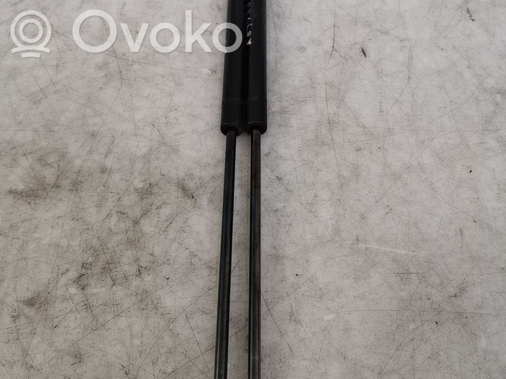 Ford Focus Tailgate/trunk strut/damper 