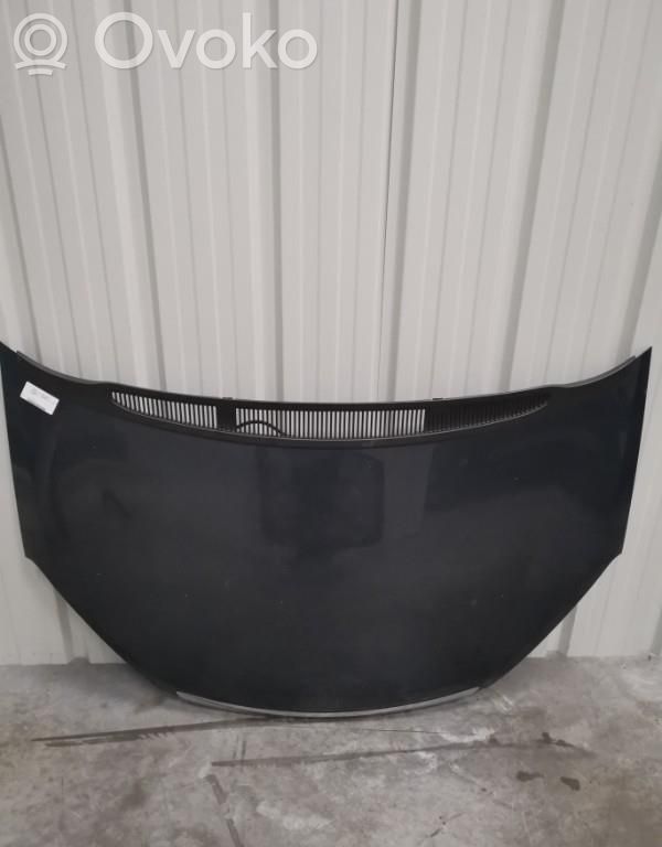 Motorhaube   1493967