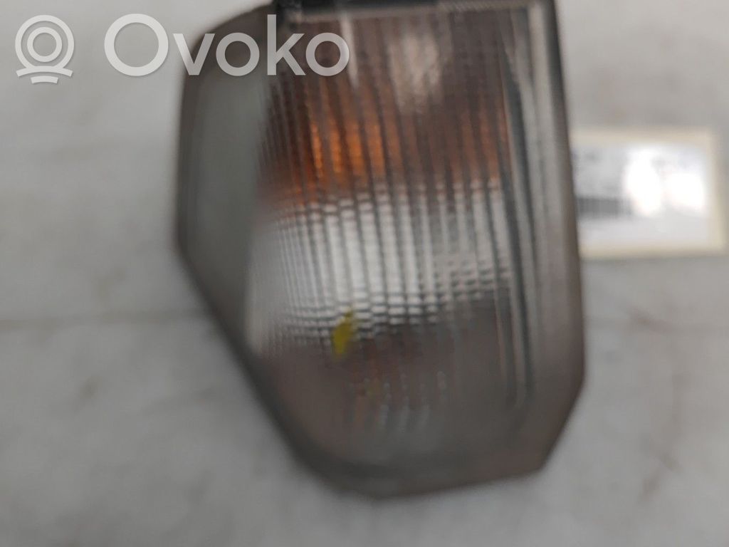 Seitenblinker