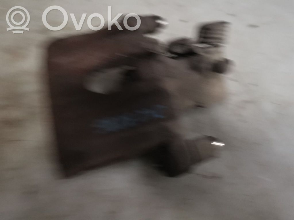 Takajarrusatula   BPYK2671XB