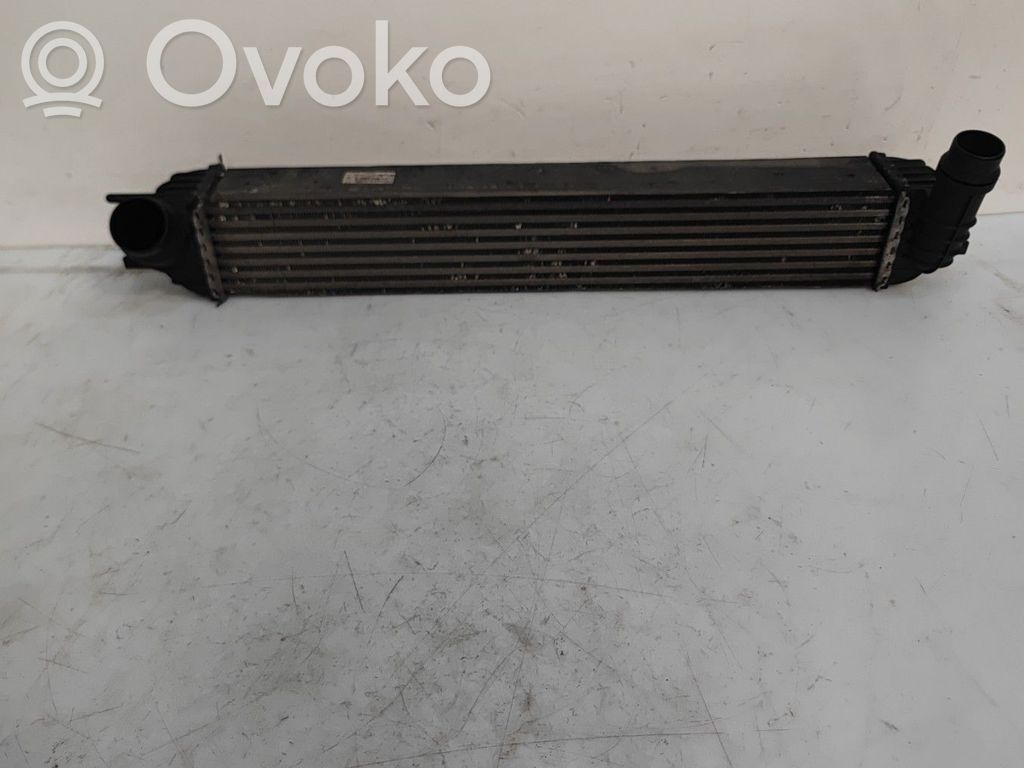 Renault Laguna III Chłodnica powietrza doładowującego / Intercooler 