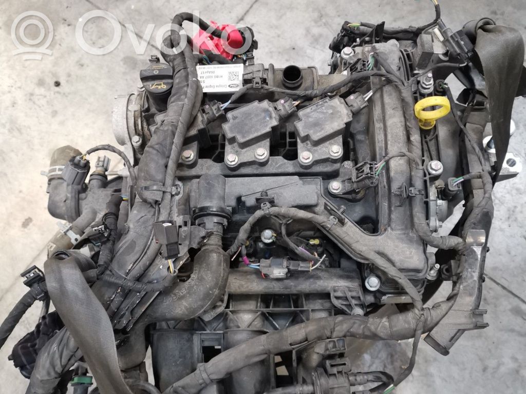Ford Fiesta Variklis 
