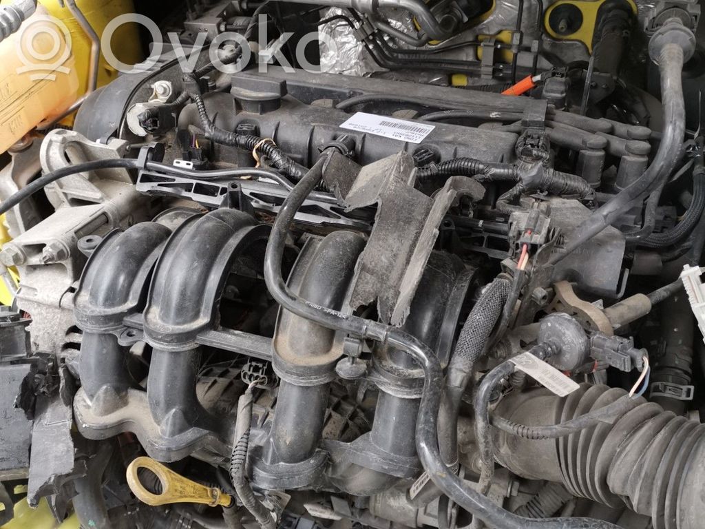 Engine   1898714