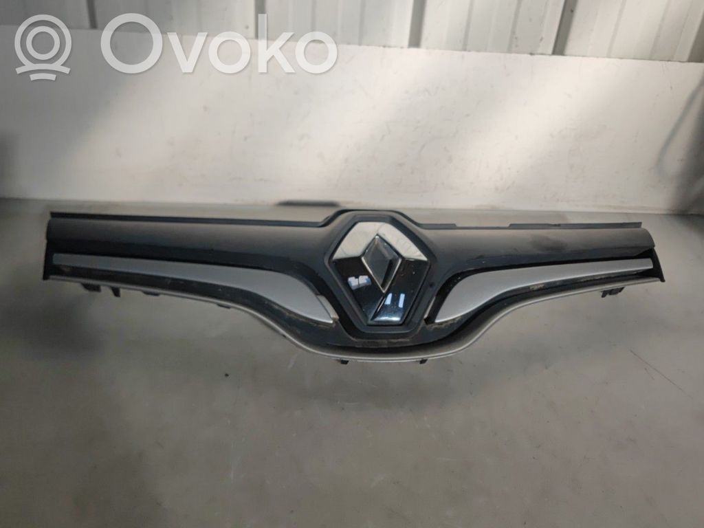 Front grill   623829911R