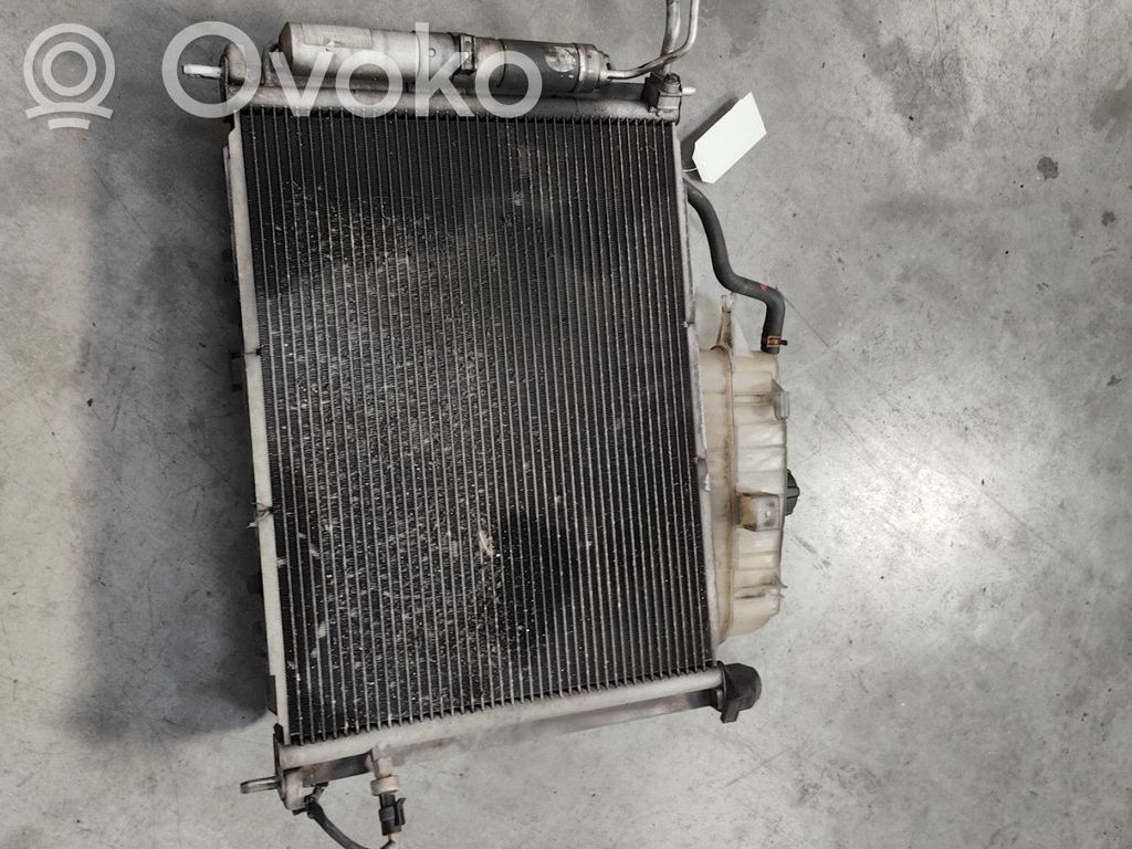 Renault Clio III Radiatore di raffreddamento A/C (condensatore) 