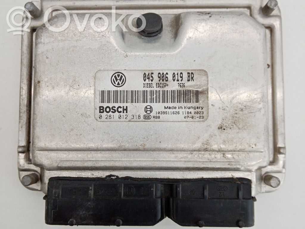 Engine control unit/module   045,019,0281012318,906