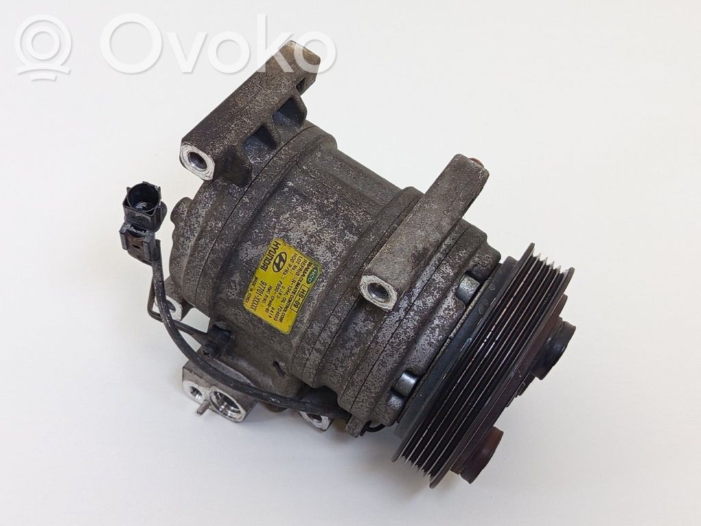Klimakompressor Pumpe   977011Y050