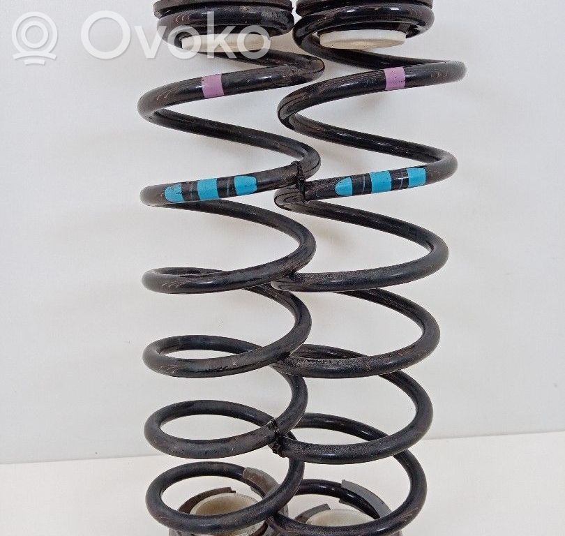 Rear coil spring   5102W4