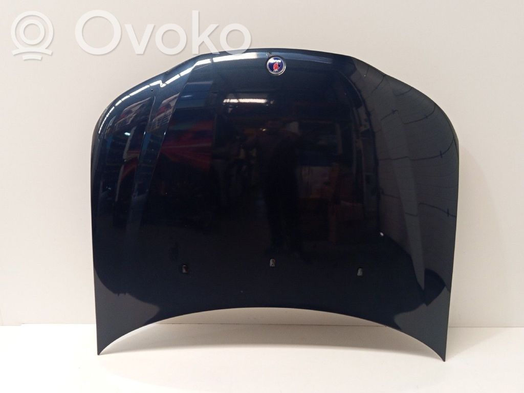 Dzinēja pārsegs (vāks)   12797735,PEQUENODESGASTE