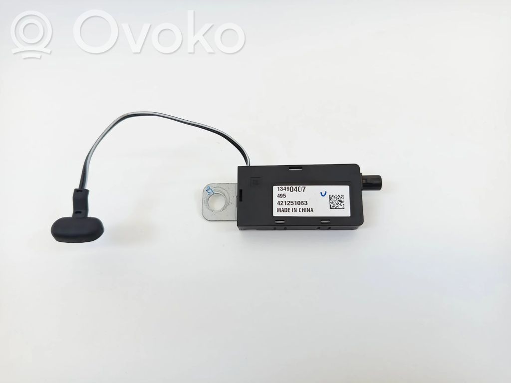 Other control units/modules   13490407,421251063