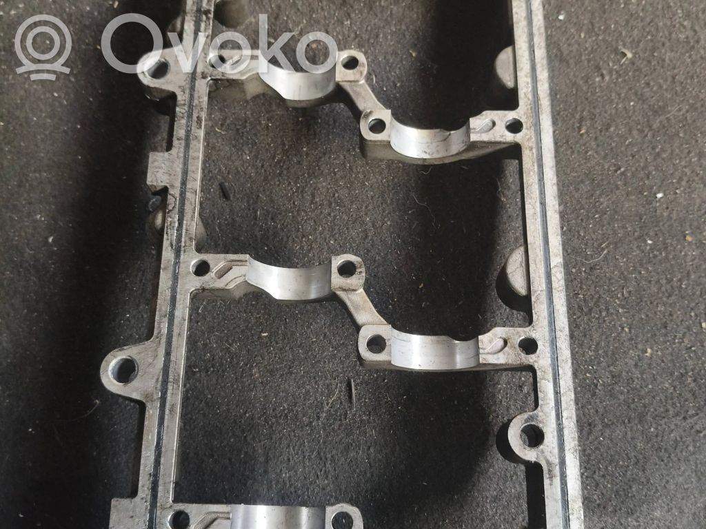 Sadales vārpsta   059285K