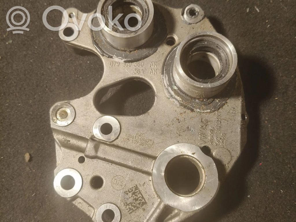 Öljypumppu   079109360AK