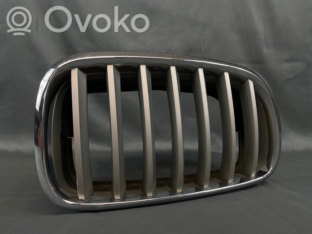 BMW X5 E70 Front bumper upper radiator grill 