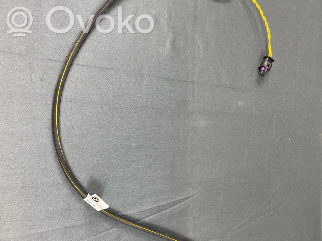 Tailgate/trunk control unit/module   61358494949