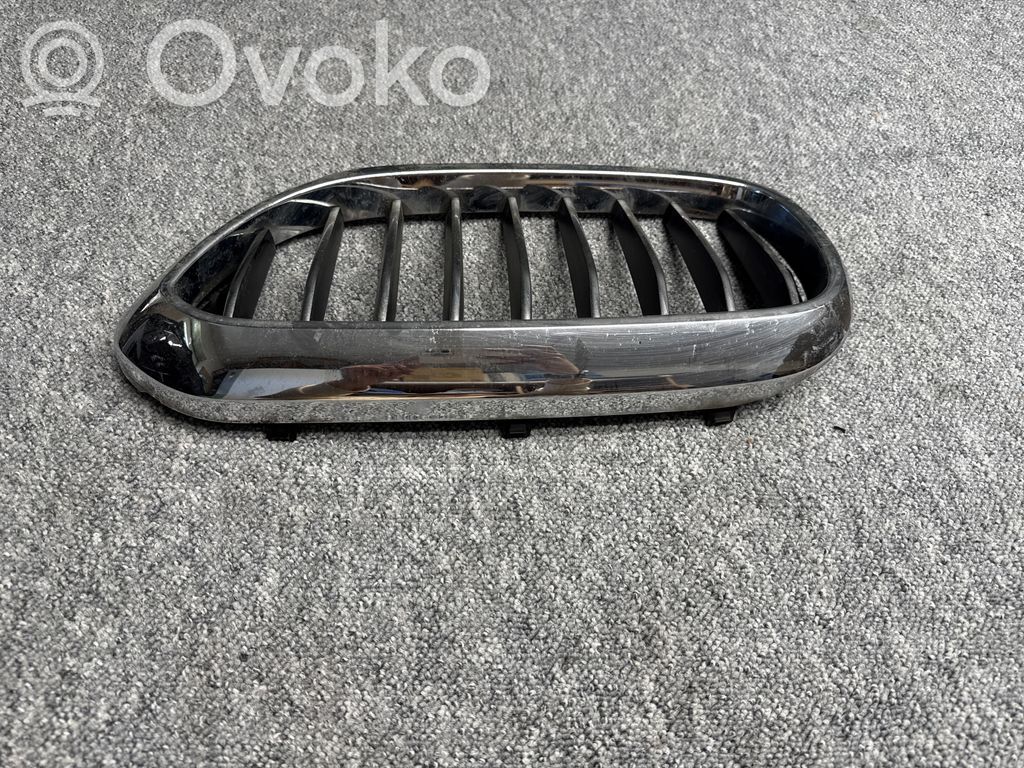 BMW 5 G30 G31 G38 Front grill 