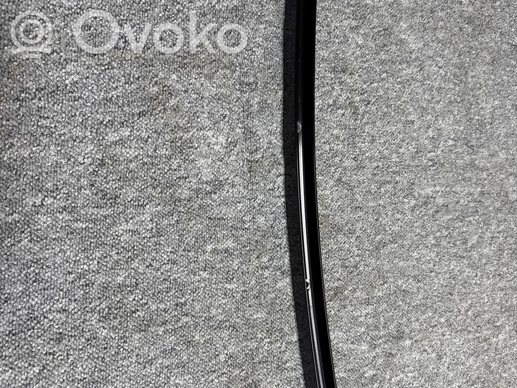 BMW X5 G05 Listwa / Uszczelka szyby drzwi tylnych 