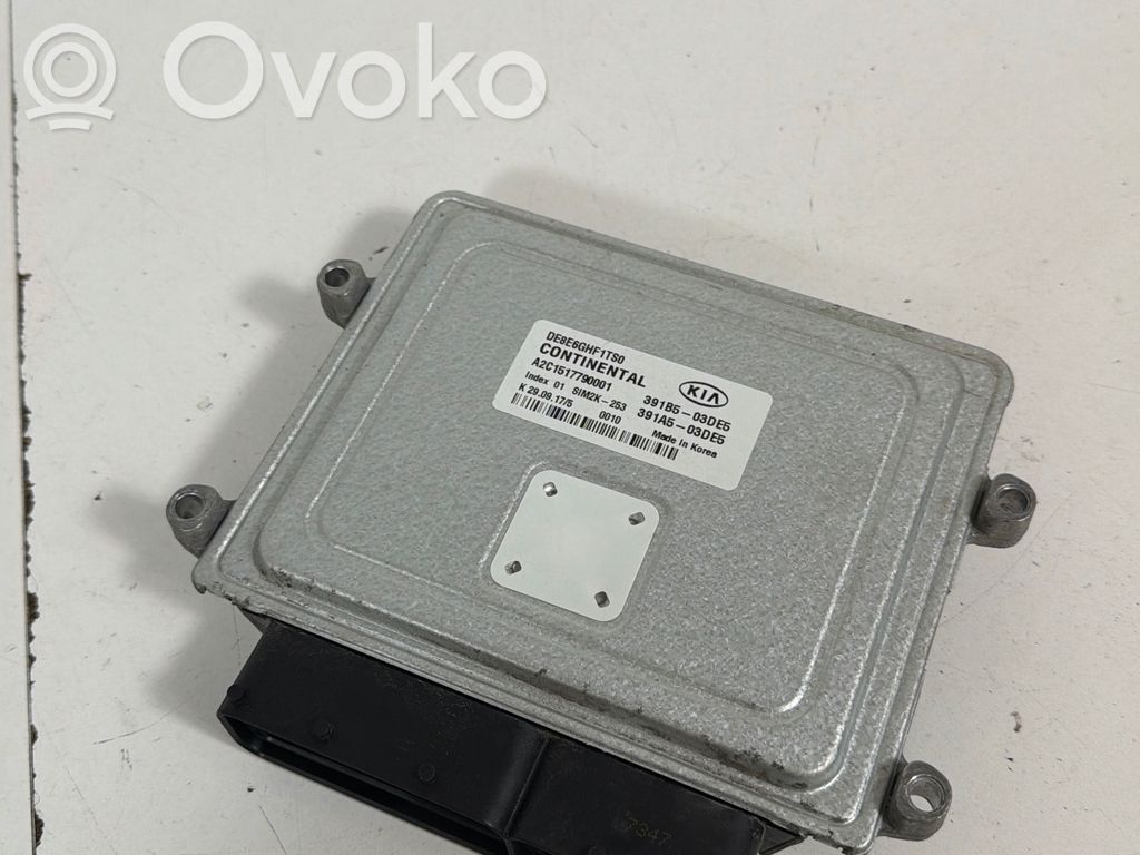 Engine control unit/module   391B103DE5