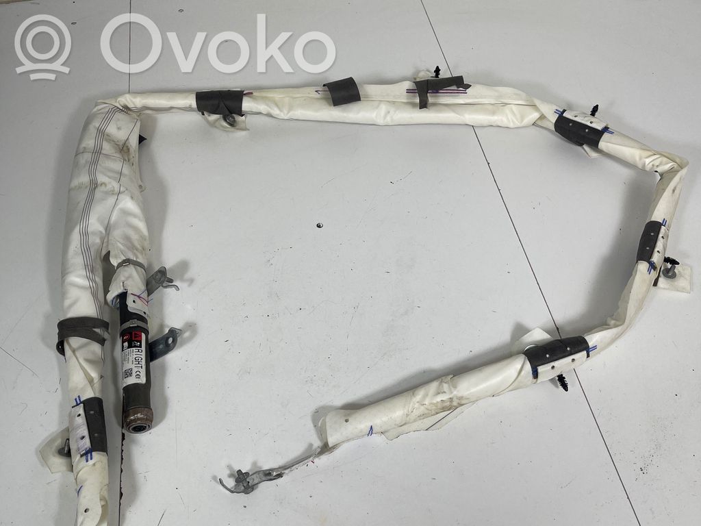 Tesla Model 3 Airbag del techo 