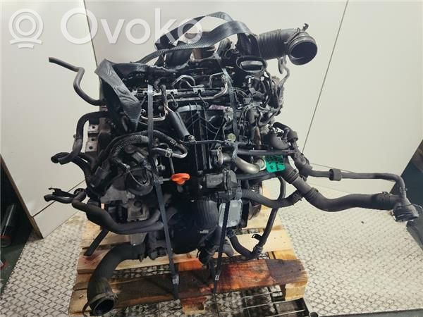 Motor   CFF,CFF