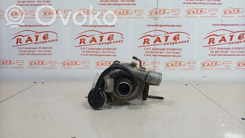 Turbo   54351014809,Z13DT