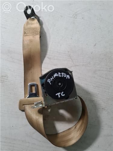 Cinturón trasero