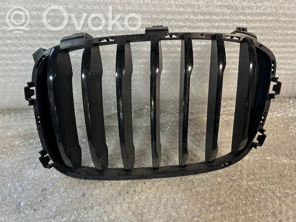 BMW X3 G01 Front grill 