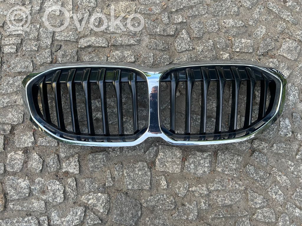 BMW 1 F40 Etusäleikkö 