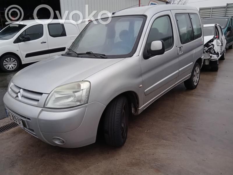 Citroen Berlingo Puerta delantera 