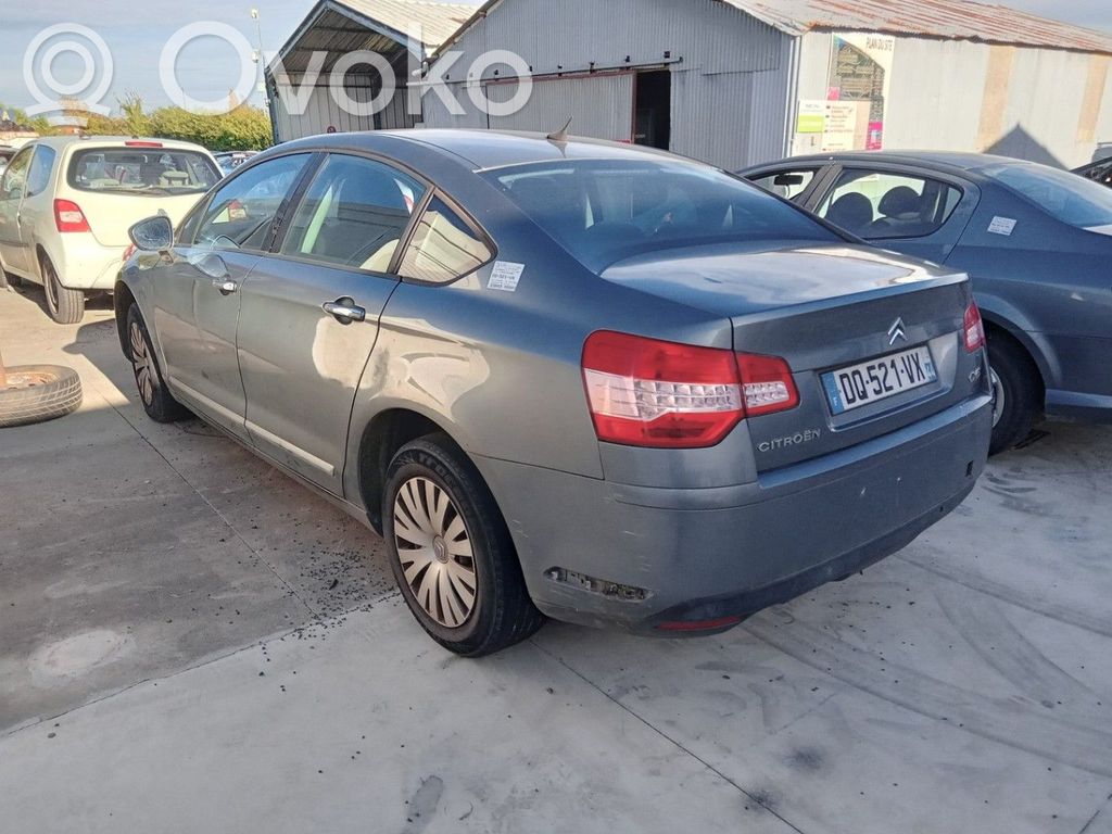 Citroen C5 Luna de la puerta trasera 