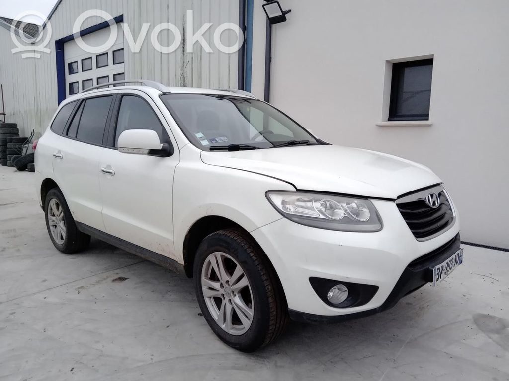 Hyundai Santa Fe Serratura portiera anteriore 