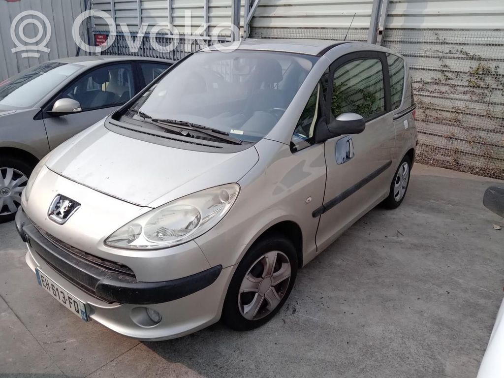 Peugeot 1007 Scheinwerfer 