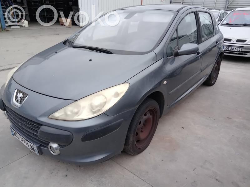 Peugeot 307 Puerta delantera 
