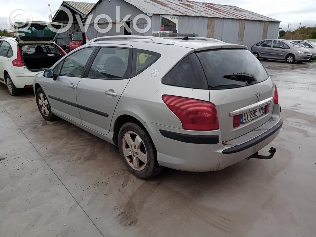 Peugeot 407 Galinis suportas 