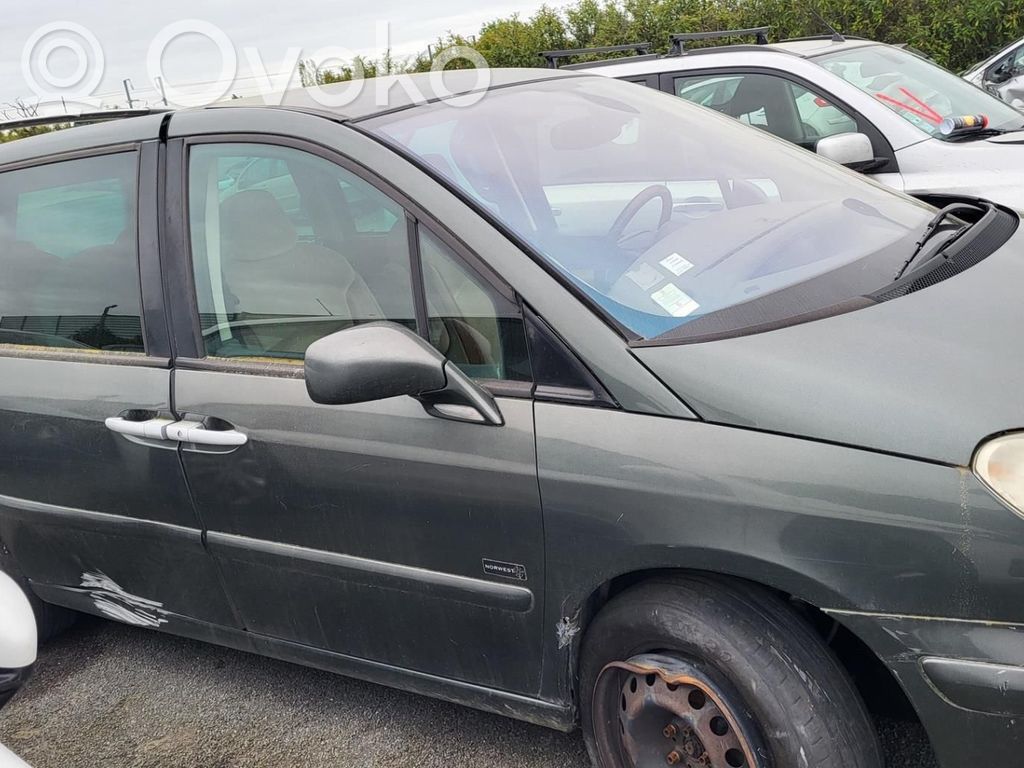 Peugeot 807 Manecilla externa puerta delantera 