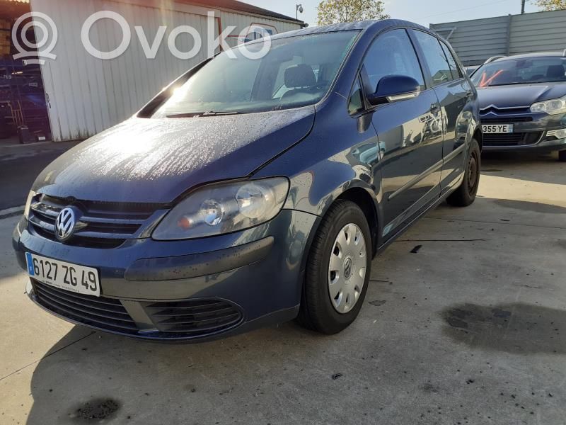Volkswagen Golf Plus Puerta delantera 