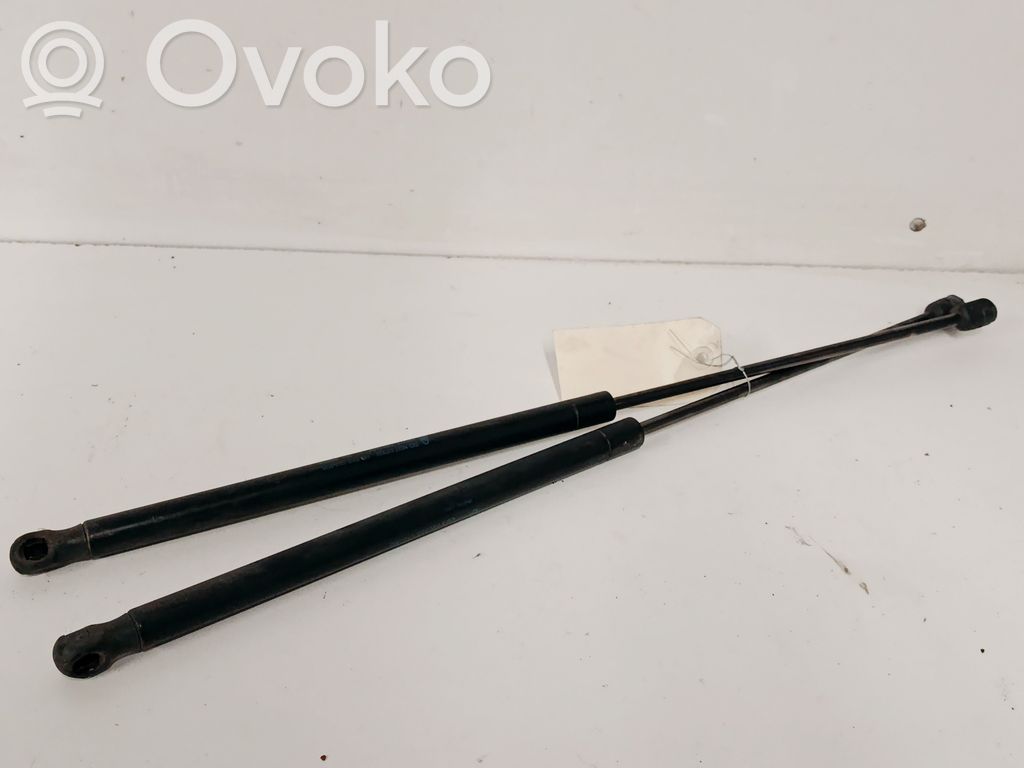 Ford Focus Tailgate/trunk strut/damper 