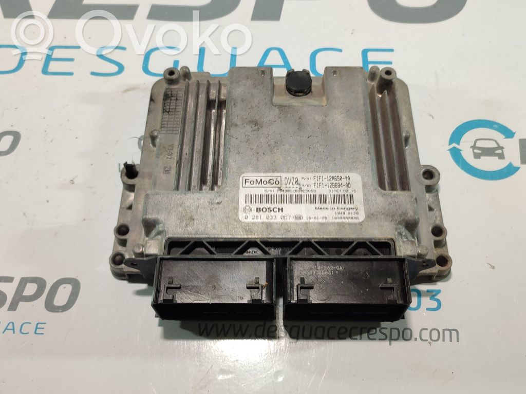 Ford Focus Engine control unit/module 