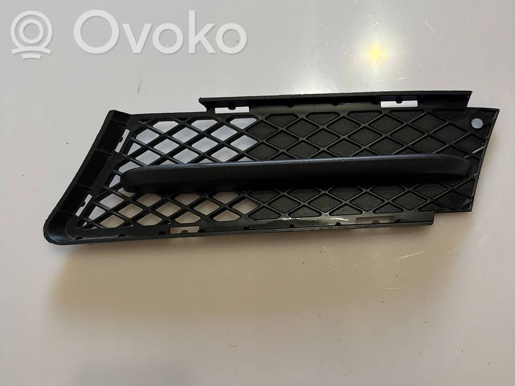 Front bumper lower grill   7154551