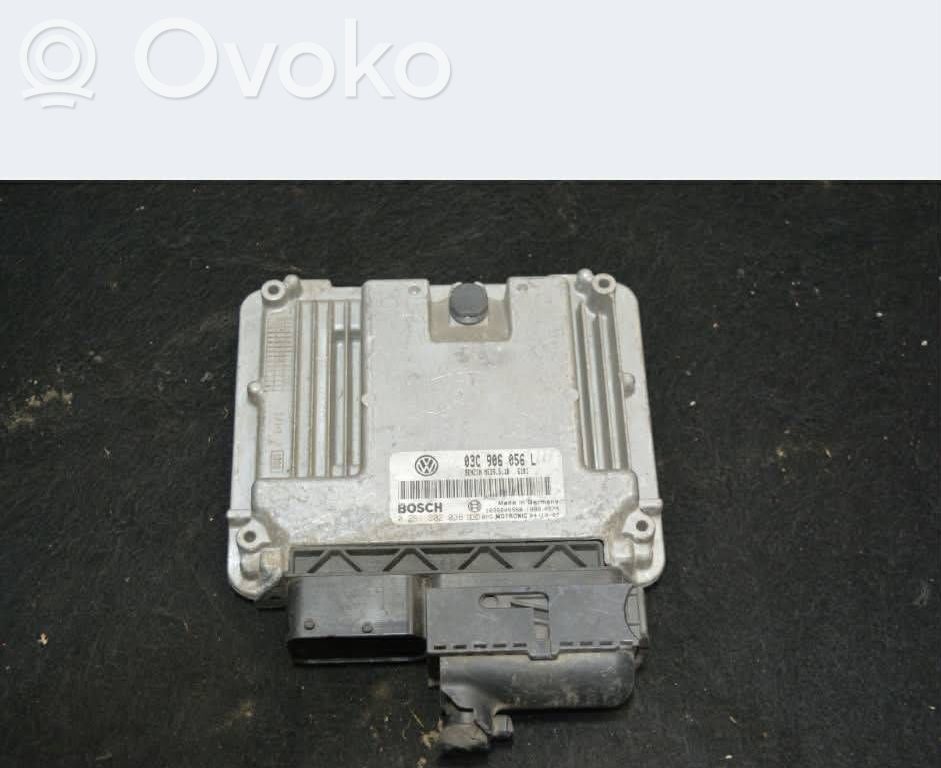 Skoda Octavia Mk2 (1Z) Engine control unit/module 