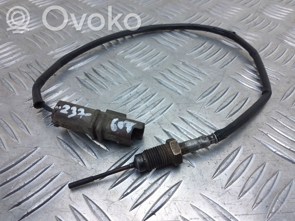 Peugeot 607 Exhaust gas temperature sensor 