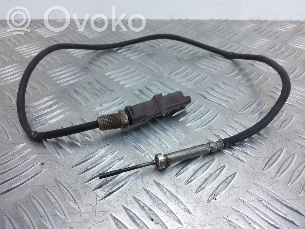Peugeot 407 Exhaust gas temperature sensor 