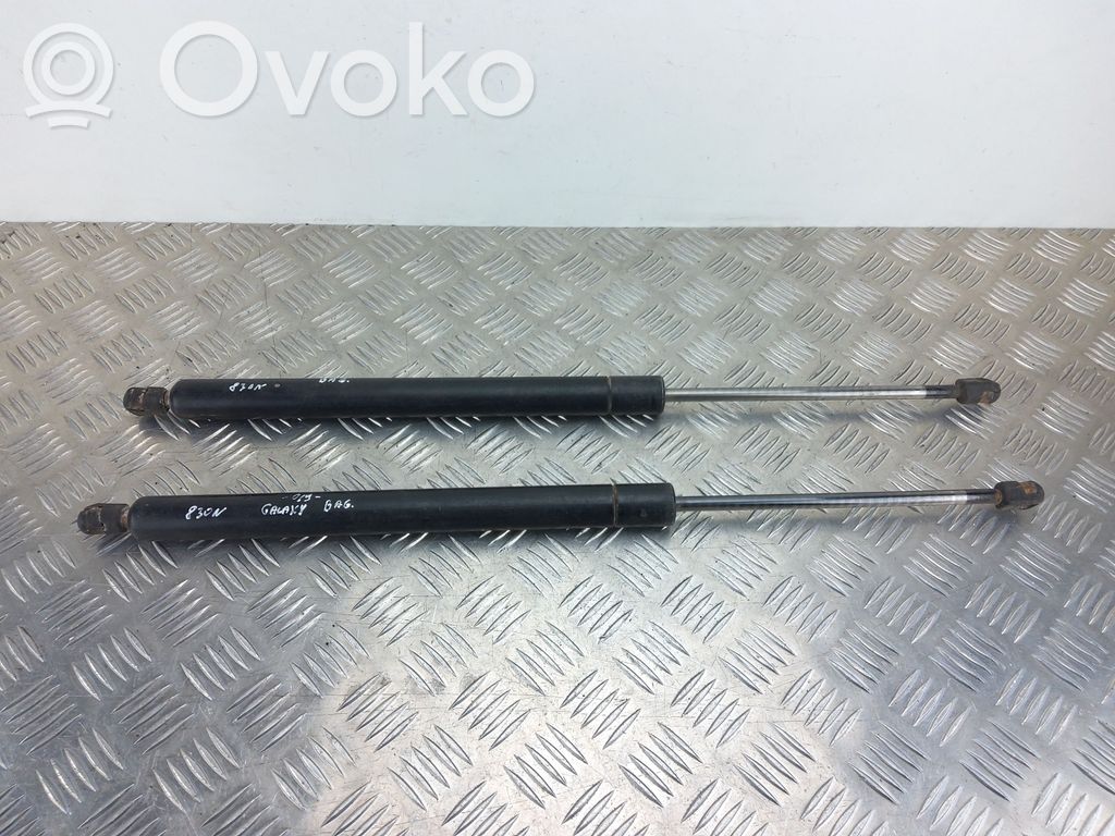 Tailgate/trunk strut/damper