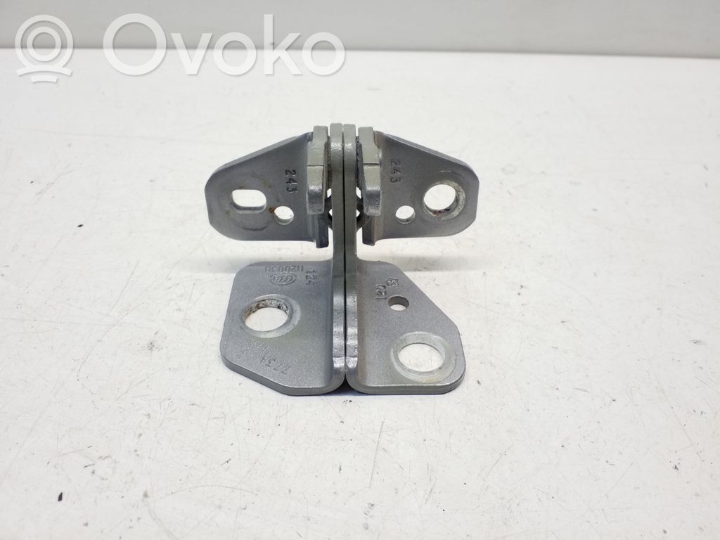 Chrysler Pacifica Front door lower hinge 