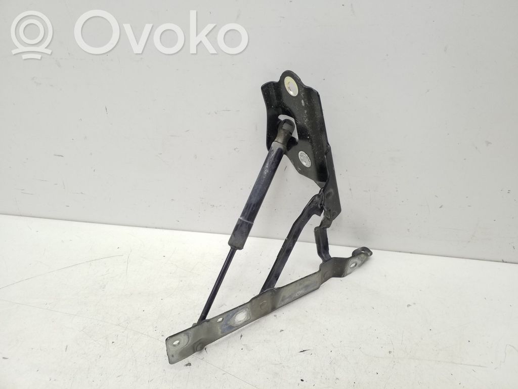 Dodge Challenger Tailgate/trunk/boot hinge 