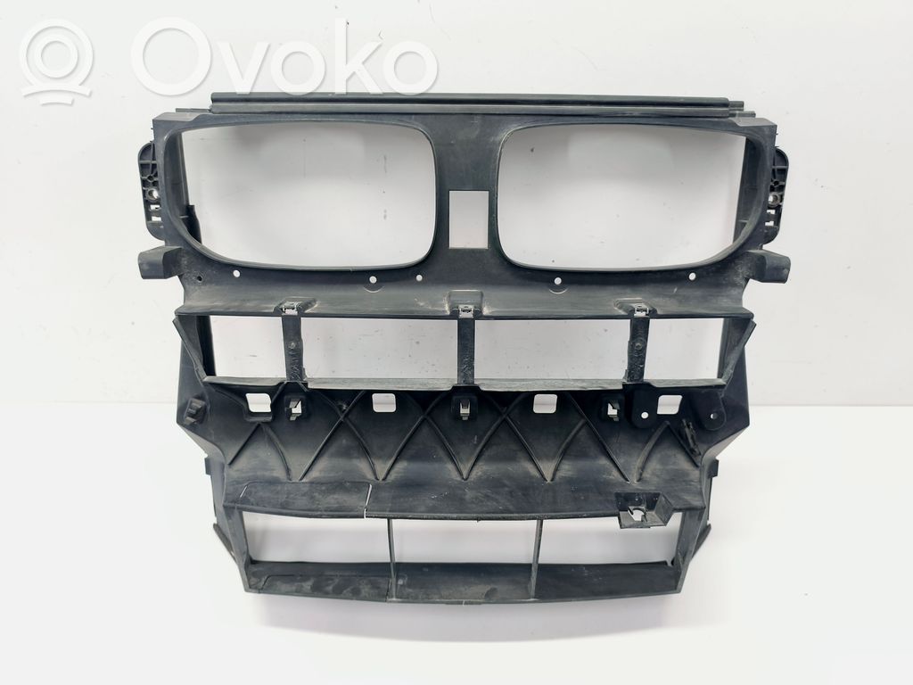 BMW X5M E70 Radiatoriaus oro nukreipėjas (-ai) 