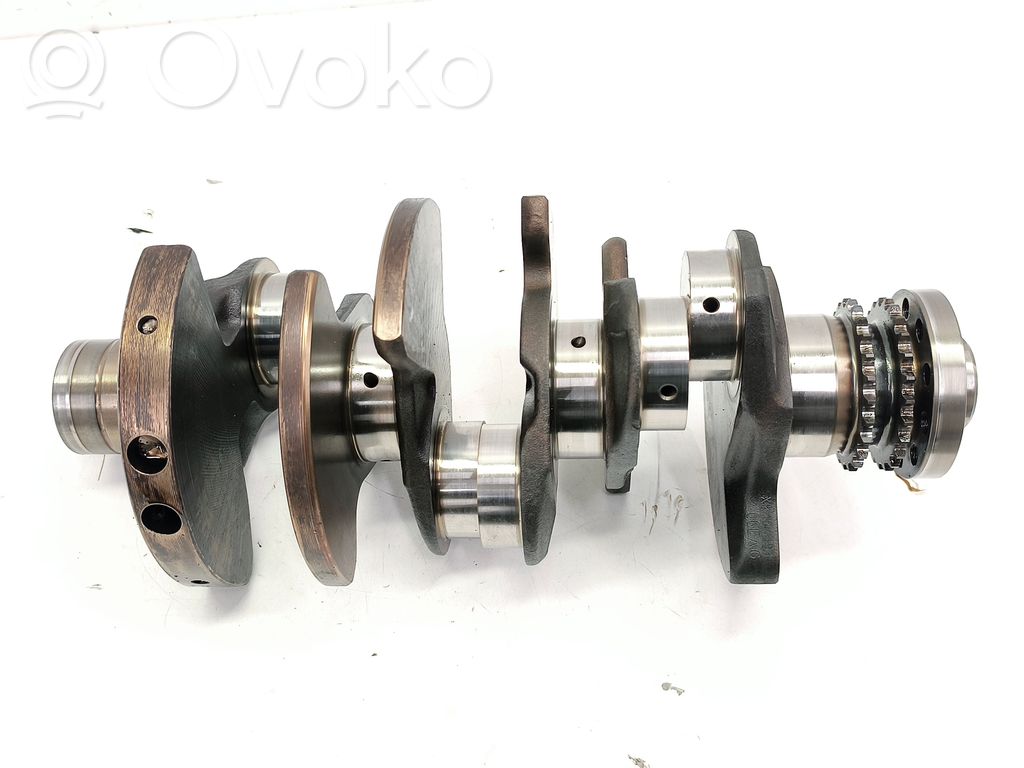 Crankshaft   06E101AG