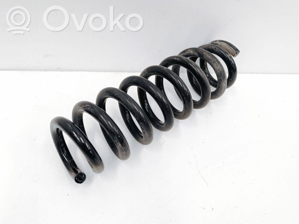 Rear coil spring